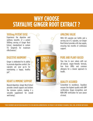 Cápsulas de Jengibre Puro STAY ALIVE 1000mg 120 Veganas