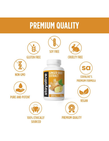 Cápsulas de Jengibre Puro STAY ALIVE 1000mg 120 Veganas