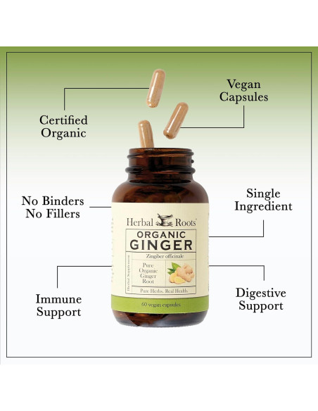 Suplemento de Jengibre Orgánico Herbal Roots | 1200 mg | 60 Cápsulas Veganas
