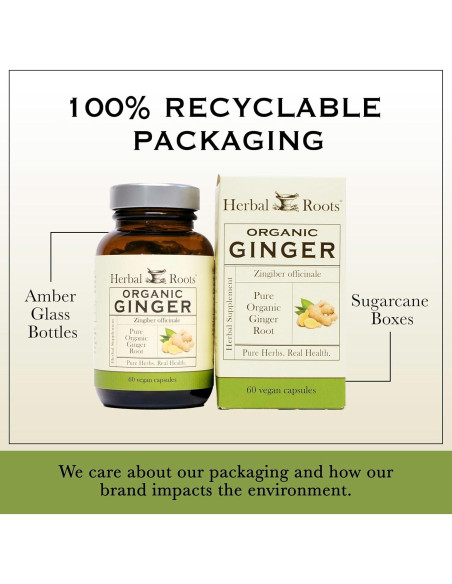 Suplemento de Jengibre Orgánico Herbal Roots | 1200 mg | 60 Cápsulas Veganas