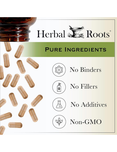 Suplemento de Jengibre Orgánico Herbal Roots | 1200 mg | 60 Cápsulas Veganas