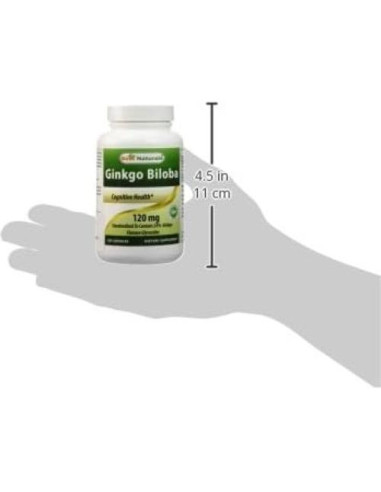 Suplemento Ginkgo Biloba 120 mg - 120 Cápsulas Naturales