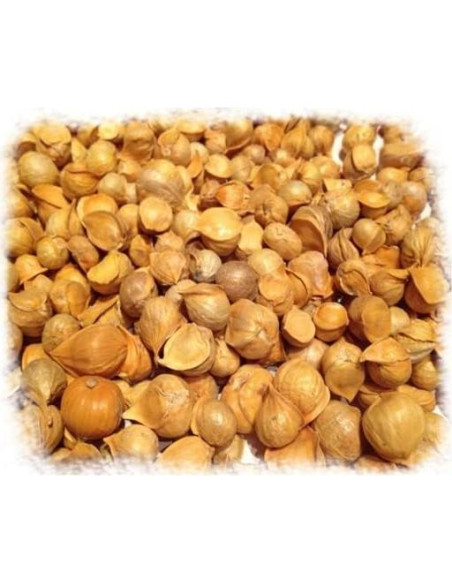 Ajo Japonés 85g LO+NATURAL Bolsa Resellable 100% Natural