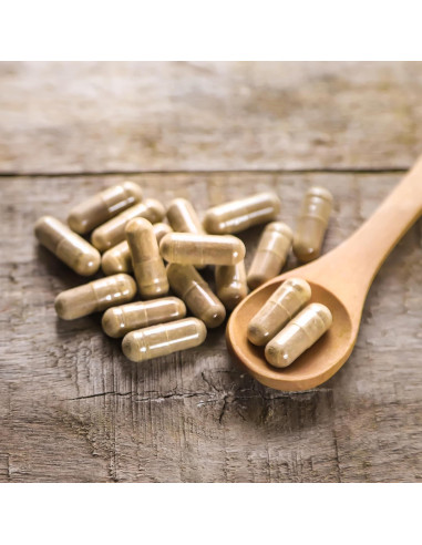 Cohosh Negro Elementos de la Tierra 200 Cápsulas Puras