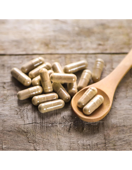 Cohosh Negro Elementos de la Tierra 200 Cápsulas Puras