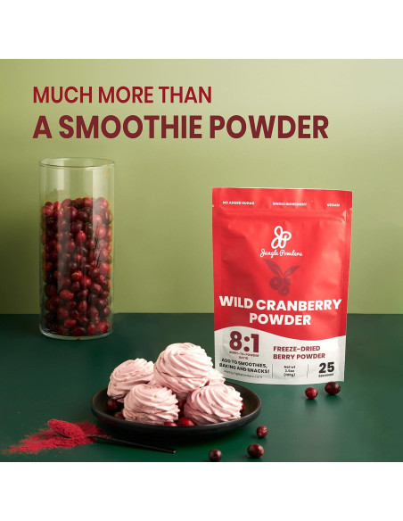 Polvo de Arándano Silvestre Jungle Powders 99g Liofilizado