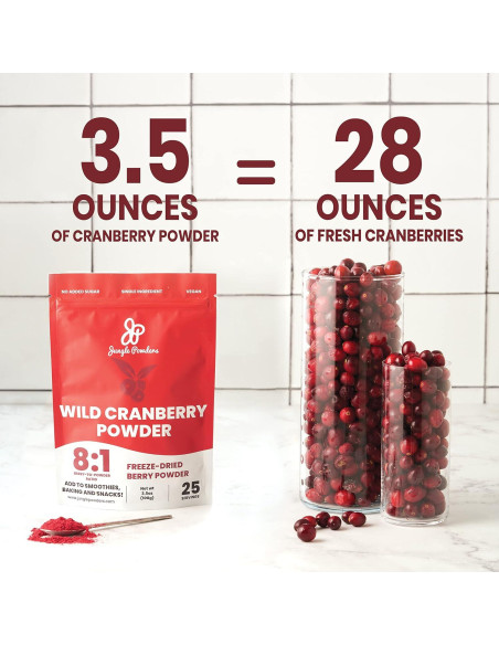 Polvo de Arándano Silvestre Jungle Powders 99g Liofilizado