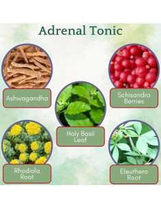 Tónico Adrenal Herb Lore 59.15 ml - Suplemento Herbal Orgánico 2
