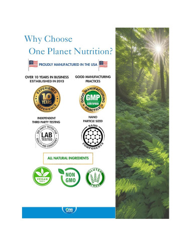 Cápsulas Veganas de Albahaca Sagrada Nano 500 mg - One Planet Nutrition