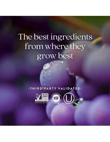 Suplemento de Presión Arterial New Chapter 30 Cápsulas Veganas