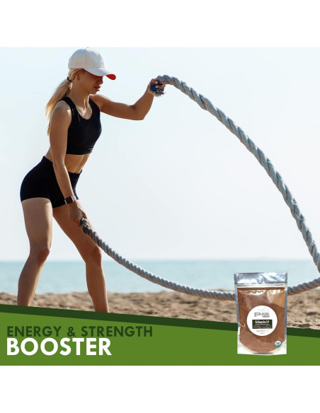 Extracto en polvo de Schisandra orgánica 5:1 113g - Dimmak Herbs