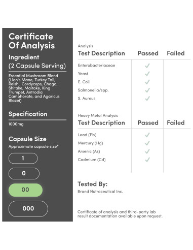 Suplemento de Hongos Double Wood - 1000mg - 120 Cápsulas