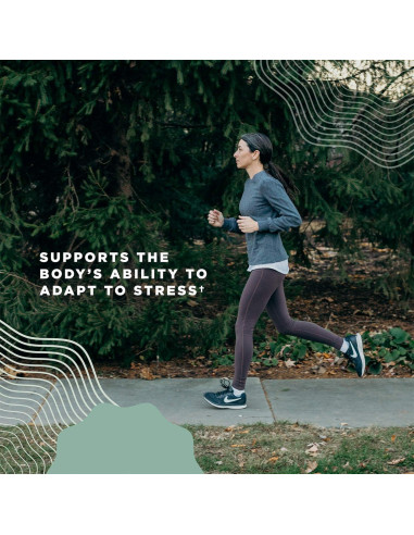 Suplemento Inmunológico Orgánico Nutrición Antigua 30 Tabletas