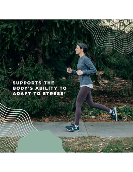 Suplemento Inmunológico Orgánico Nutrición Antigua 30 Tabletas