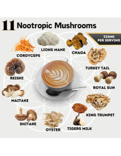 Café de Champiñones Orgánico OhmYes 1111 con Cacao 198g 2