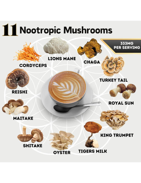 Café de Champiñones Orgánico OhmYes 1111 con Cacao 198g