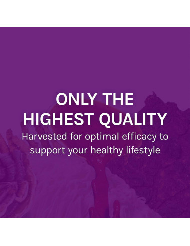 Cápsulas de Hongos Host Defense 30 Unidades - Soporte Inmunológico