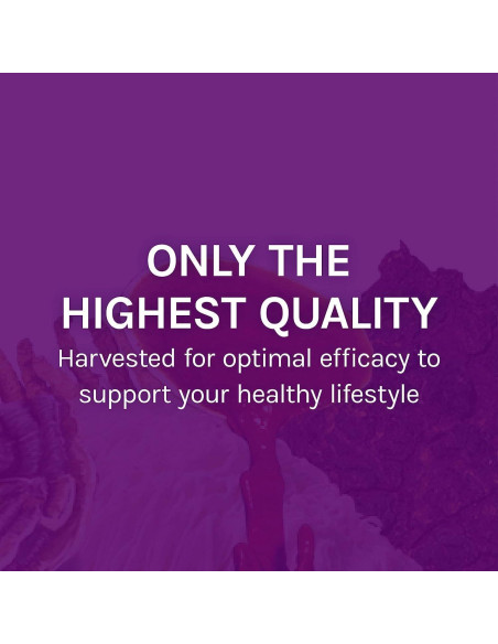 Cápsulas de Hongos Host Defense 30 Unidades - Soporte Inmunológico