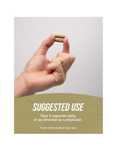 Cápsulas de Hongo Reishi BulkSupplements 1000mg - 240 Veganas