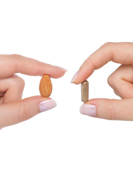 Extracto de Ashwagandha Seeking Health 467 mg 60 Cápsulas Veganas Extracto de Ashwagandha Seeking Health 467 mg 60 Cápsulas Veganas