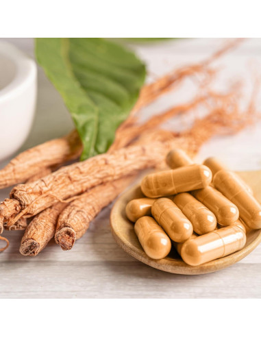 Cápsulas de Dong Quai Elementos de la Tierra 200 Unidades Puro