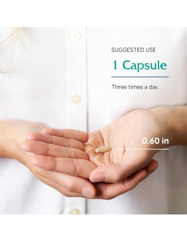 Extracto de Ginkgo Biloba Vitanica 90 Cápsulas Veganas 24% Flavonoides