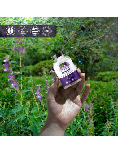 Tabletas de Extracto de Skullcap 2000 mg Amazing Botanicals - 30 Tabletas