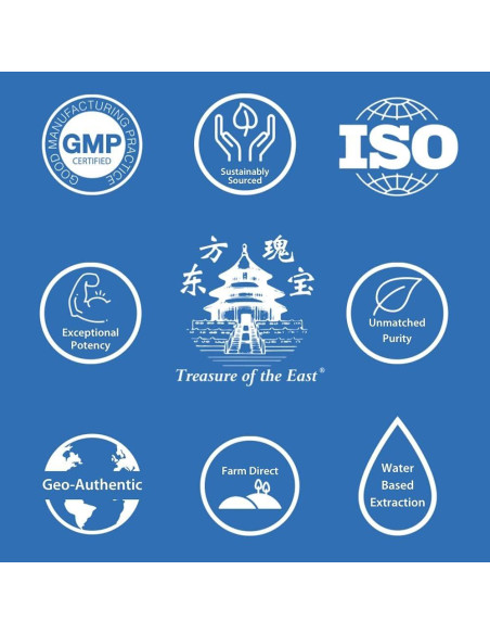 Extracto Herbal Concentrado Hongo Poria Fu Shen 100g