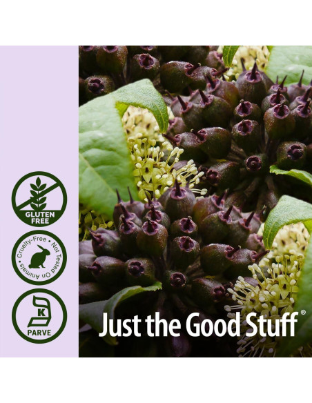 Extracto de Raíz de Eleuthero Nature's Answer 2000mg 60ml