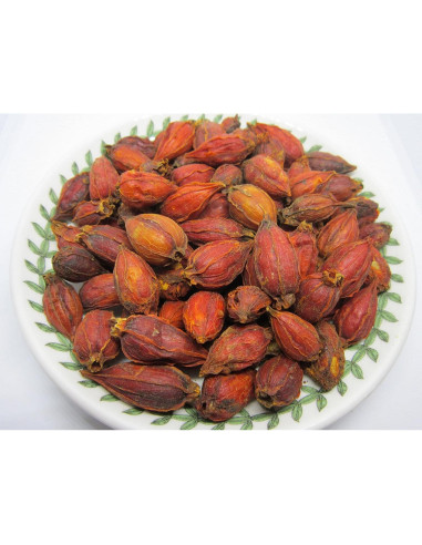 Fruto de Gardenia Seco 113.4 g - Nature Tea