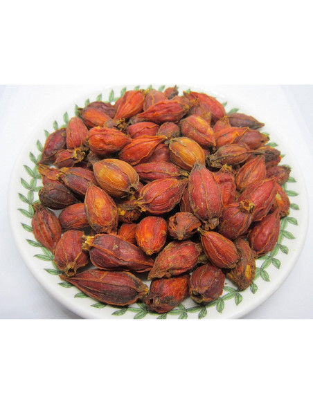 Fruto de Gardenia Seco 113.4 g - Nature Tea