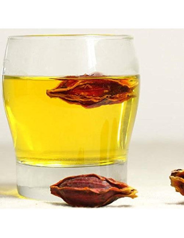 Fruto de Gardenia Seco 113.4 g - Nature Tea