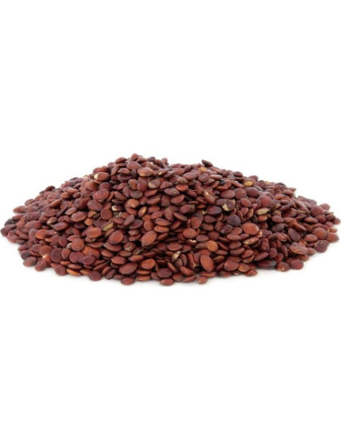 Extracto en Polvo Suan Zao Ren Dimmak Herbs 112g Orgánico