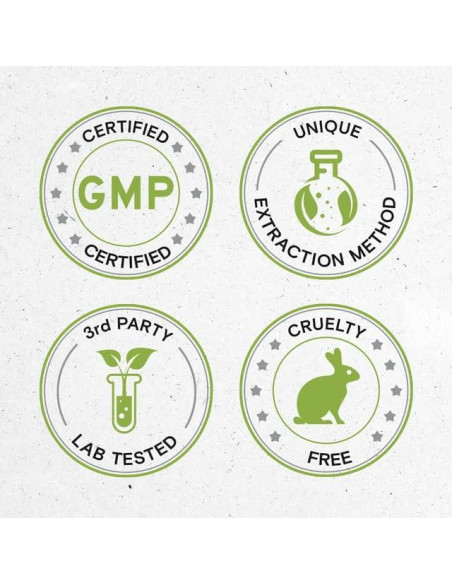 Cápsulas Herbales Orgánicas Rumex Acetosella 120 Unidades Cápsulas Herbales Orgánicas Rumex Acetosella 120 Unidades