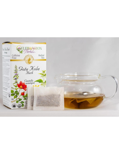 Té de Gotu Kola Orgánico Celebration Herbals 24 Bolsitas Té de Gotu Kola Orgánico Celebration Herbals 24 Bolsitas