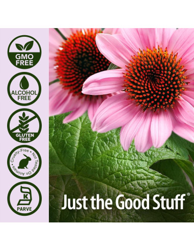 Extracto de Equinácea y Sello de Oro Nature's Answer 120ml