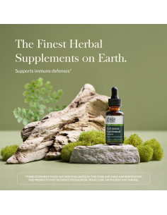 Echinacea Goldenseal Supreme Gaia Herbs 77g - Apoyo Inmunitario 2