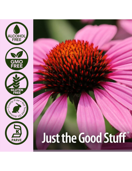 Extracto de Equinácea Sin Alcohol Nature's Answer 30 ml | Inmunidad Extracto de Equinácea Sin Alcohol Nature's Answer 30 ml | Inmunidad