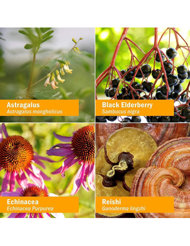 Fortificador Inmunológico Herbal Herb Pharm Niños 118 ml