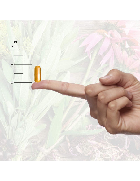 Cápsulas de Echinacea y Astrágalo Respuesta de la Naturaleza 90Ct