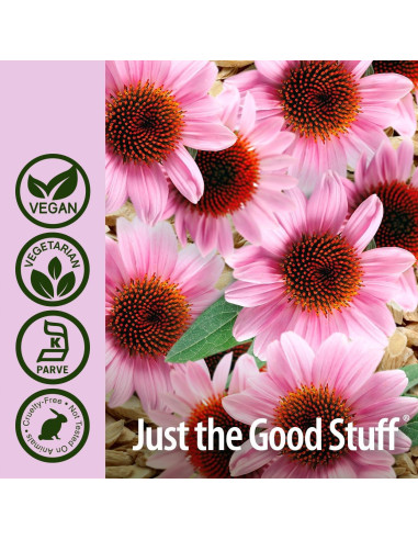 Cápsulas de Echinacea y Astrágalo Respuesta de la Naturaleza 90Ct