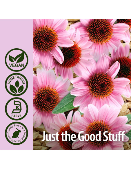 Cápsulas de Echinacea y Astrágalo Respuesta de la Naturaleza 90Ct