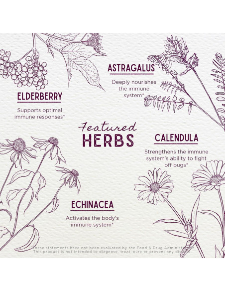 Suplemento Inmunidad Diaria WishGarden 118 ml Niños Herbal