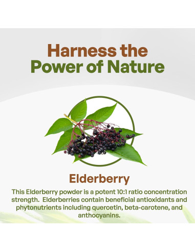 Polvo de Saúco Negro Go Nutra 0.45 kg 10:1 Extracto Inmunológico