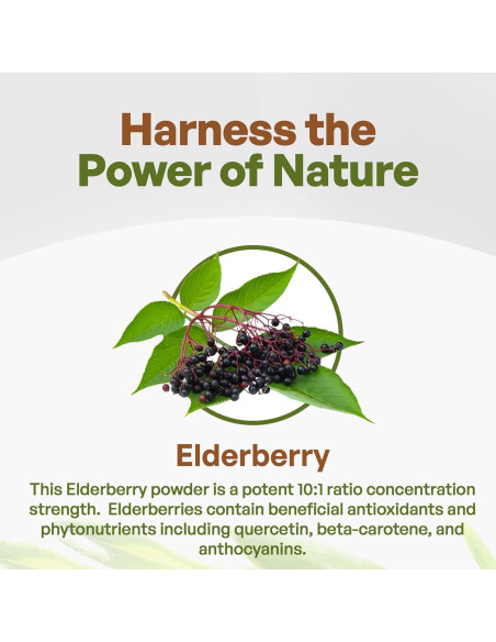 Polvo de Saúco Negro Go Nutra 0.45 kg 10:1 Extracto Inmunológico