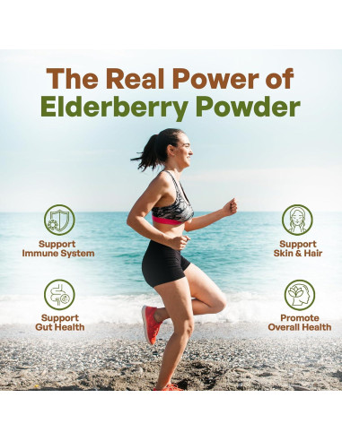 Polvo de Saúco Negro Go Nutra 0.45 kg 10:1 Extracto Inmunológico