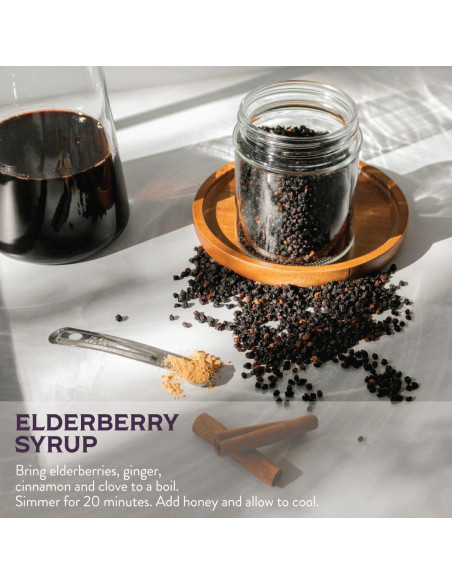 Elderberries Orgánicos 0.45 kg - Sambucus Berry Co.