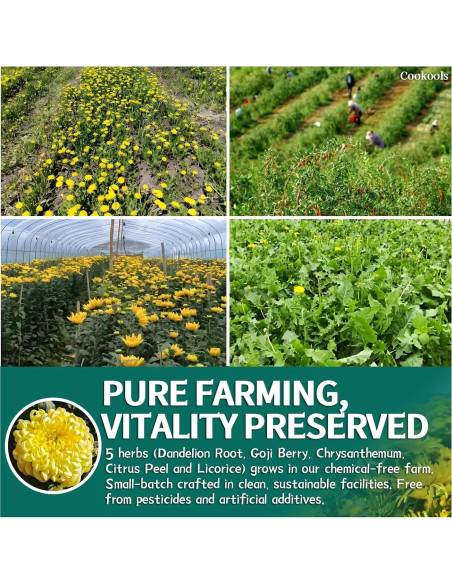 Té Detox Natural Cookools 20 Unidades Diente de León y Goji