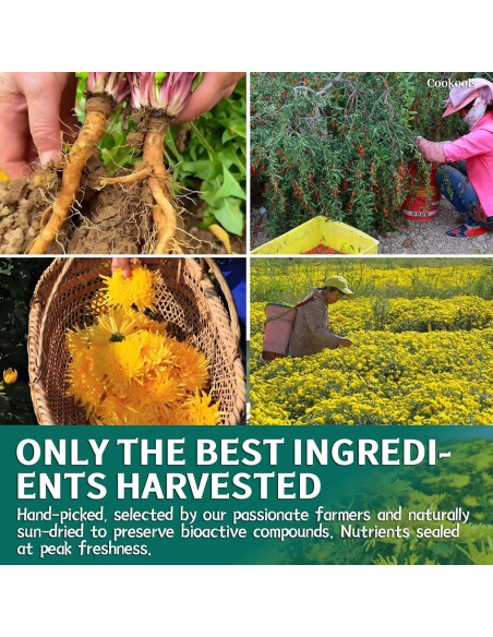 Té Detox Natural Cookools 20 Unidades Diente de León y Goji