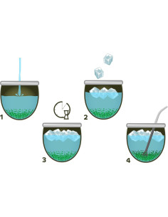 Yerba Mate Rosamonte 500g Sin Gluten - Té Verde Argentino 2